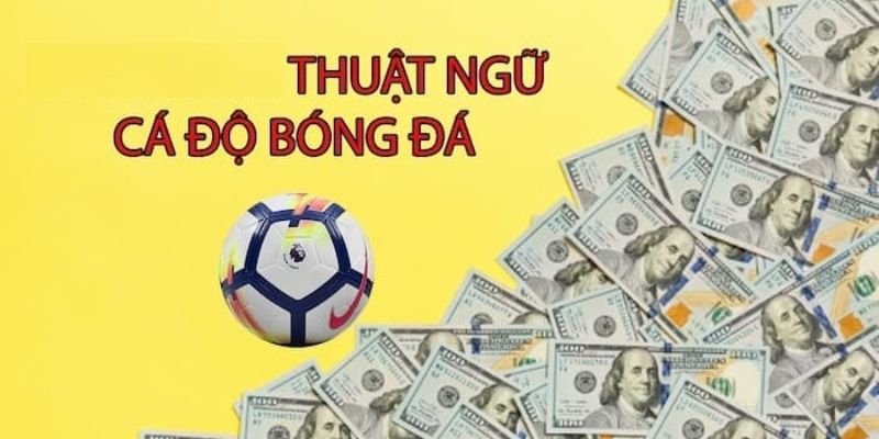 Bản chất của thuật ngữ cá cược là gì? 