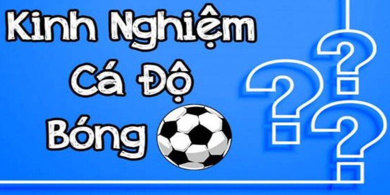 Kinh nghiệm cược bóng đá về sai lầm bạn nên tránh